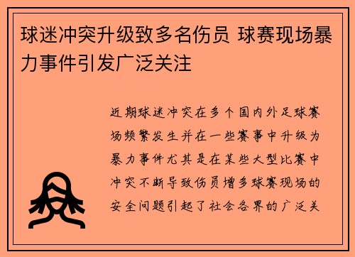球迷冲突升级致多名伤员 球赛现场暴力事件引发广泛关注