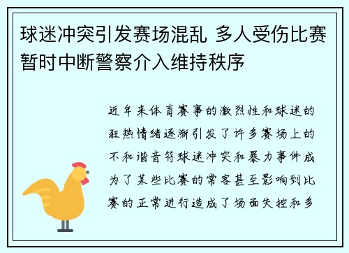 球迷冲突引发赛场混乱 多人受伤比赛暂时中断警察介入维持秩序